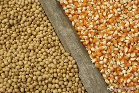 农科院报告：到2025年，中国的粮食供应缺口将达1.3亿吨图片
