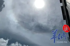 你看见头顶的太阳“长光环”没？广东多地出现日晕现象图片