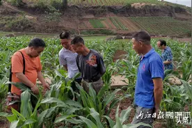 不怕旱魔！资中全力抗旱保生产图片
