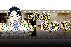 亲手整理的长达6个月抗耳螨经验，耳螨见了我都得躲图片
