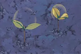 色斑浅谈 l 为何祛斑如此艰难图片