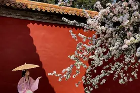 汉服、Lolita、JK制服，这届年轻人的“破产三坑”图片