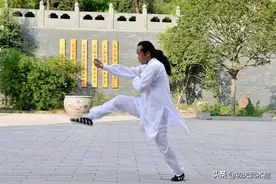 武当玄真拳实战技法（上），经典内家拳格斗招式，也能防身自卫图片