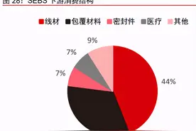 “禁塑令”最大受益者长鸿高科：被忽视的新材料隐形冠军图片