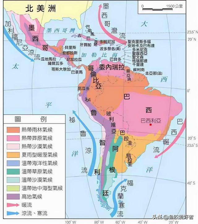 北海花胶和赤嘴花胶 2026年北海鱼胶和赤嘴的区别