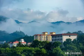 这座高性价比的养老城市，真正的冬暖夏凉，空气质量比三亚还好图片