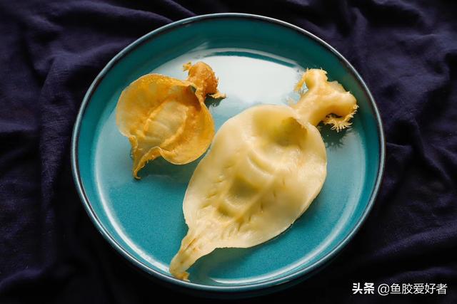 鱼胶吃不完可以明天吃吗 2026年鱼胶吃不完可以明天吃吗视频