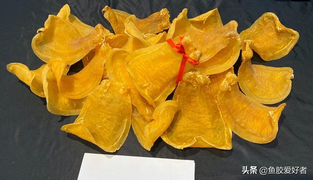 赤鳘花胶适合孕妇吃吗 2026年孕妇吃花胶最佳时间