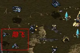 当年没有中文翻译的星际争霸让我们错失了多少有意思的设定？图片