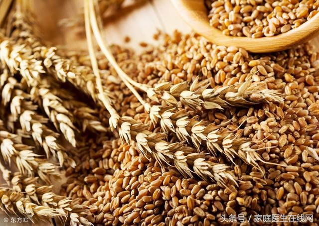 璞嗙被鍜岃胺绫绘贩鐫€鍚冩洿濂藉惛鏀讹紵鍘熸潵骞虫椂鎴戜滑閮界枏蹇戒簡