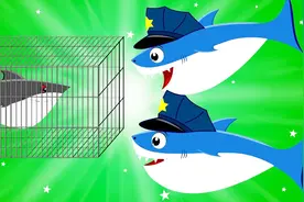 儿童动画-可怕的飞鲨VS鲨鱼宝宝视频封面