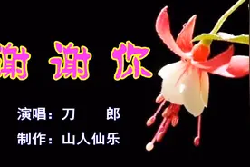 刀郎《谢谢你》，谢谢你的爱，谢谢你来过，感人至深视频封面