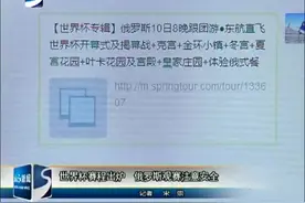 世界杯赛程出炉 俄罗斯观察注意安全视频封面