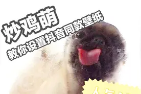 激萌！抖音上很火的狗狗舔屏幕动态壁纸原来是这么弄的啊！