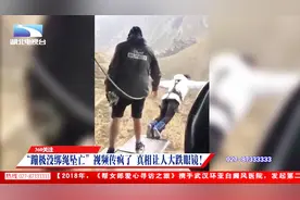 “蹦极没绑绳坠亡”视频疯传，当事人出来辟谣，真相大跌眼镜！视频封面