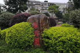 昆明市区的2个小公园：髯翁园和龙江公园