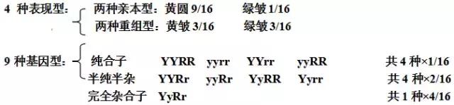 楂樹腑鐢熺墿閬椾紶鍥犲瓙鐨勫彂鐜扮煡璇嗙偣姹囨€? onerror=