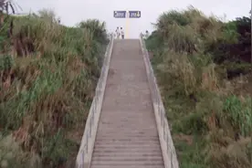 从这么长的楼梯滚下来，达叔的替身真敬业！看着就觉得危险视频封面