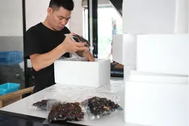 浙江永康小店“为民除害” 每天爆炒12万只知了畅销全国视频封面