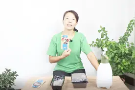 花种子的种植方法，很详细视频封面