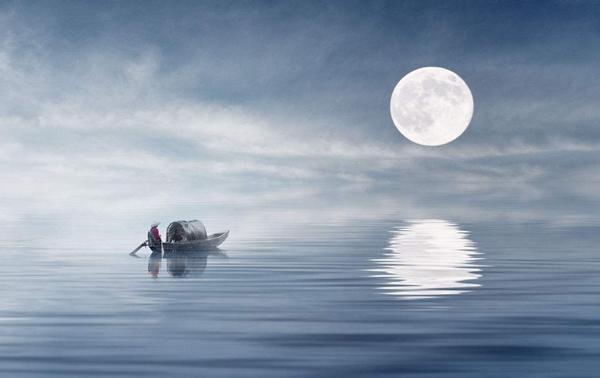 美：品唐诗，赏唐时明月