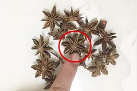 这种假八角不能吃！检查下你家厨房里的八角吧，发现假八角赶紧扔视频封面