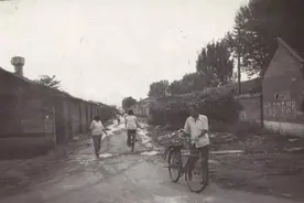 1993年一女子死在保定田地，竟扯出24条凶杀案，凶手被抓还敢求饶图片