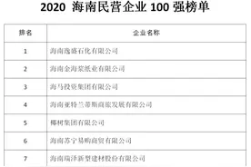 2020海南民营企业100强榜单发布图片