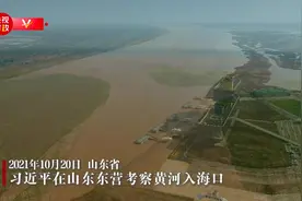 独家视频丨习近平在山东东营考察黄河入海口图片