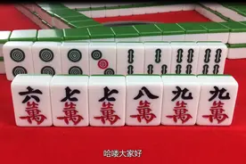 概率打法怎么打？让麻将大神来教你图片