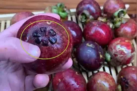 挑山竹要买“6瓣”的，既酸甜可口又核小肉厚，老板直夸内行图片