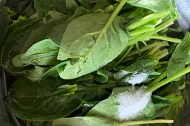 菠菜凉拌吃法，蒜油浇汁做法简单，口感清爽适合春夏吃图片