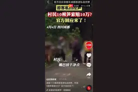 1根竹笋1万？游客私自挖出10根竹笋，村民当即索赔10万！当地镇政府回应了图片