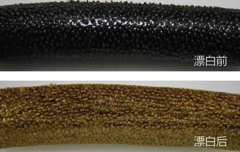 作假“金丝柳”的特征详谈