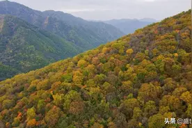 “十一”固原再登央视！《新闻联播》播出层林尽染六盘山！固原发布图片