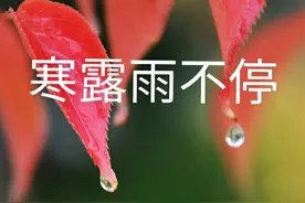 最近连续下雨，俗语“寒露雨不停，来年吃黑面”，啥意思？图片
