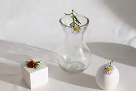 真正厉害的女人，往往“深藏不露”图片