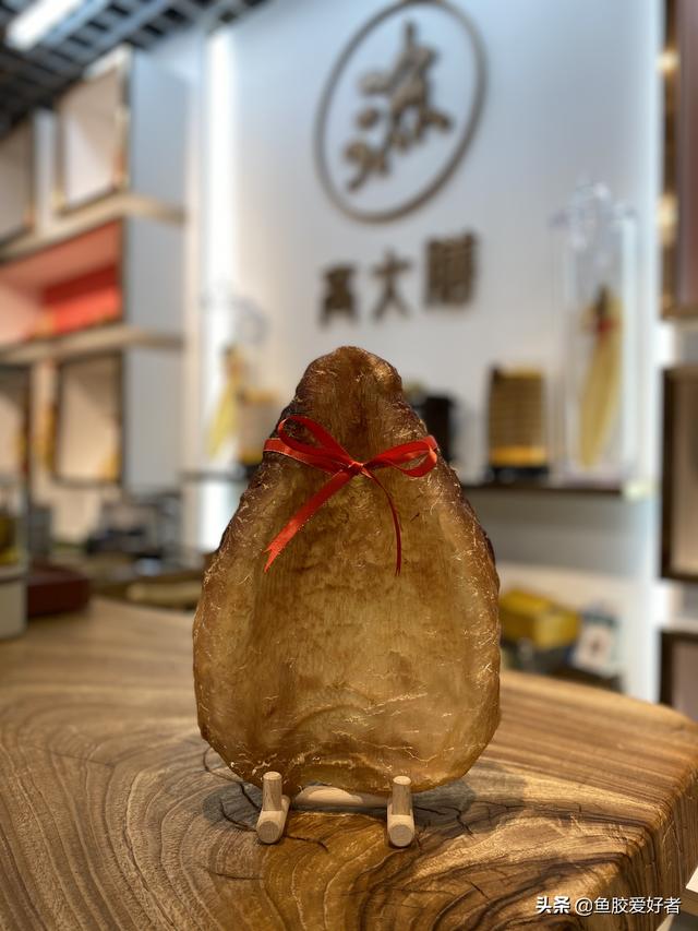 蜘蛛胶为什么这么贵 2026年蜘蛛胶是啥