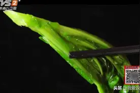 鸡油炒菜特别香，简单一道炒青菜也能变成人间美味，赶紧试一下视频封面