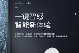 智能马桶到底该如何选择？图片