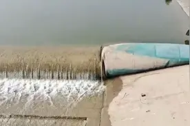 郑州一公园现罕见鱼群“跃龙门”，市民围观喊加油时一旁大叔出招了图片