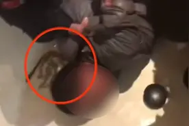 机智！安顺一对父女发现家里进贼，靠这个动作抓住小偷图片