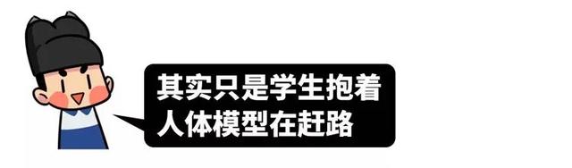 中国灵异校园指南：为什么每个学校前身都是乱葬岗？