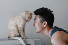 怀孕不能养猫？钟南山说：孕妇最好养猫，而且越早越好图片