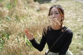 人生关键的几步把握好，其他的慢慢来图片
