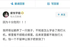 为什么养宠物不能养猴子？图片