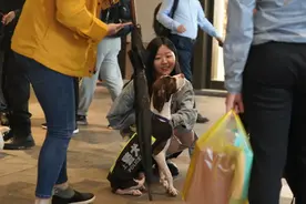 反诈丨“扫码摸狗”真的来了，网友评论亮了图片