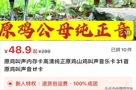 又见电商售卖“电媒捕鸟器”，鸟儿何其辜？图片