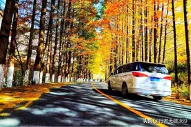 深藏秦岭的一条最美自驾公路，秋色绚丽惹人醉！图片