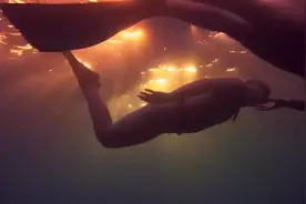 《海豚湾》| 海豚的微笑，是世界上最高明的伪装图片